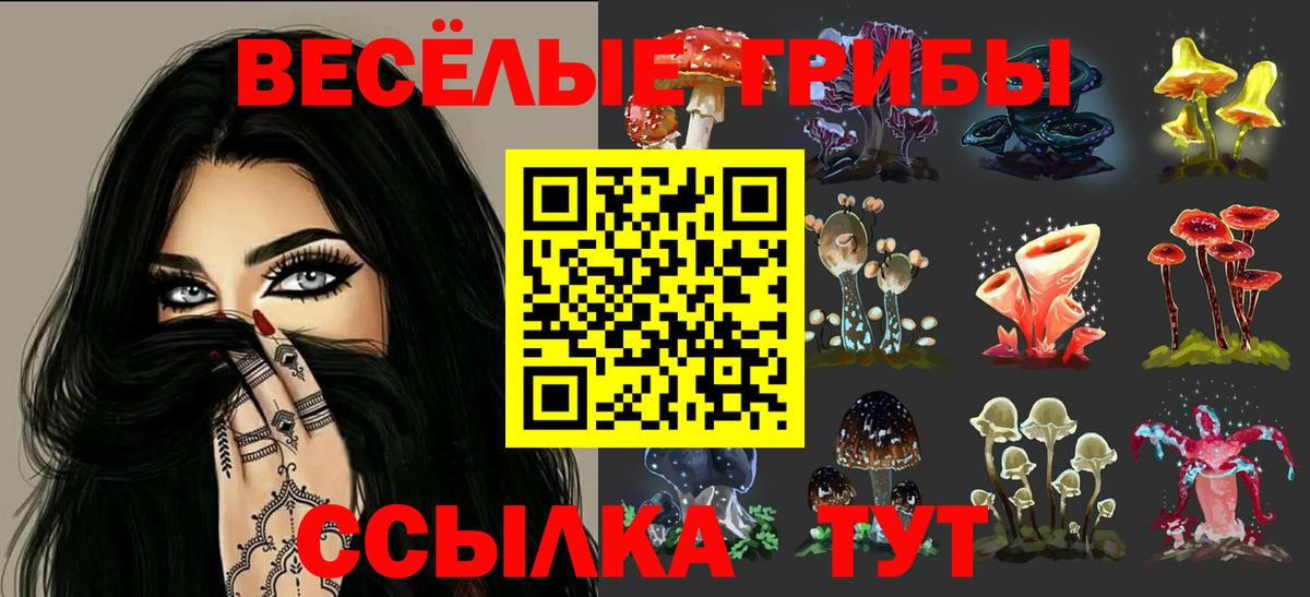 Галлюциногенные грибы Psilocybine cubensis  Вход с VPN  Псилоцибиновые грибы Psilocybine cubensis  Щёкино 